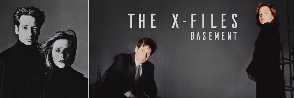 txfbasement's profile banner image