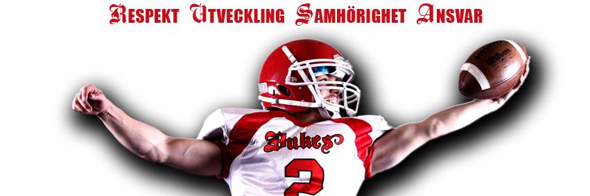 skovdedukes's profile banner image