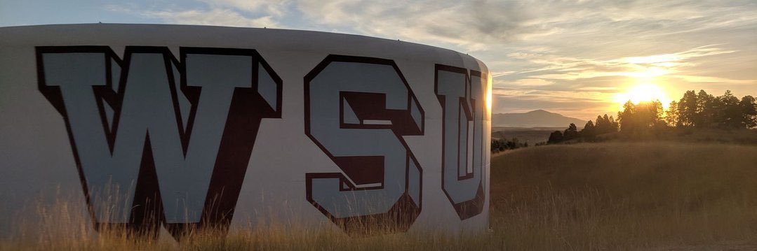 Da Grumpy Coug banner