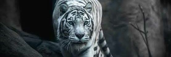 i_sudarta's profile banner image