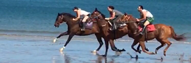 trinity bannon banner