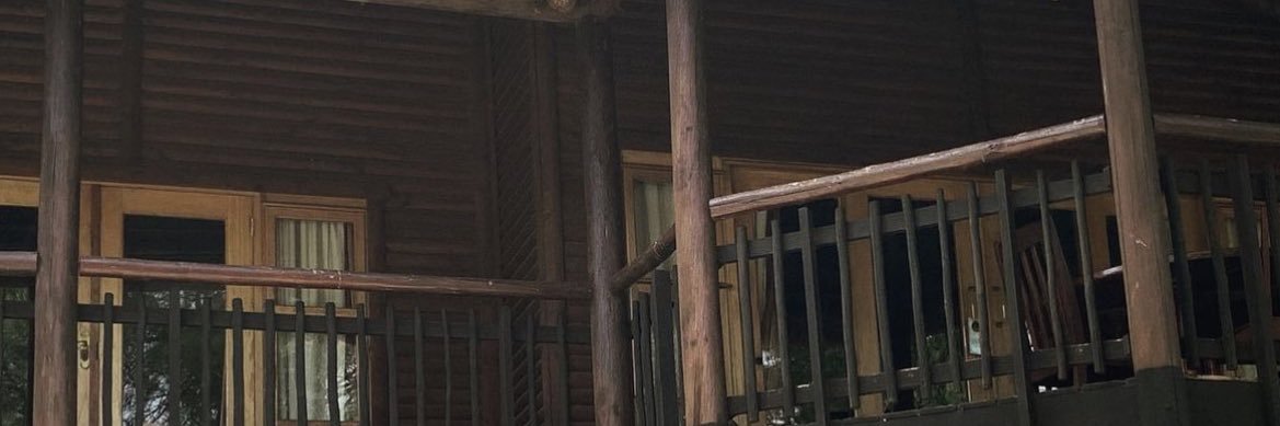 Amendissa's profile banner image