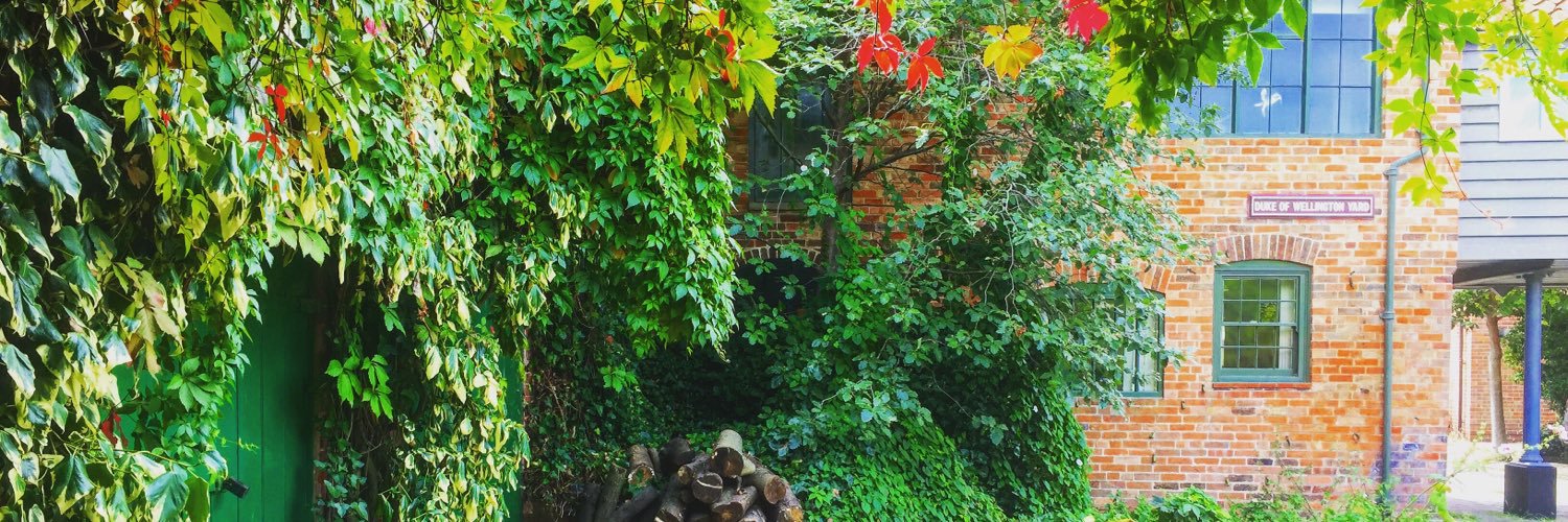 Chelsea Sandbrook banner