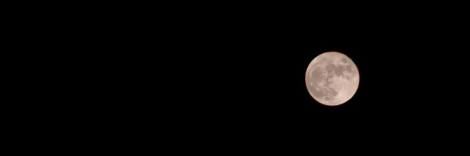lacuslee's profile banner image