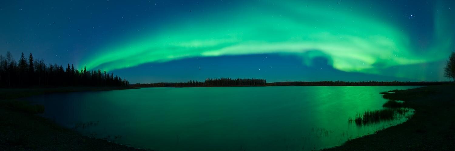 ★planters★ banner