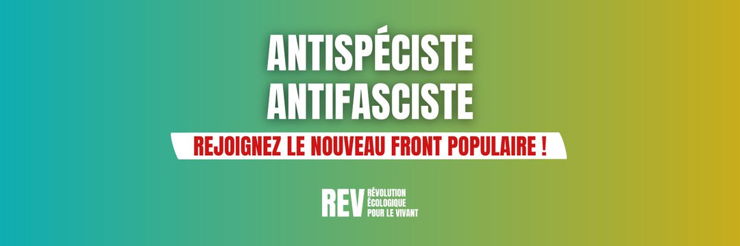 Moulfrite's profile banner image