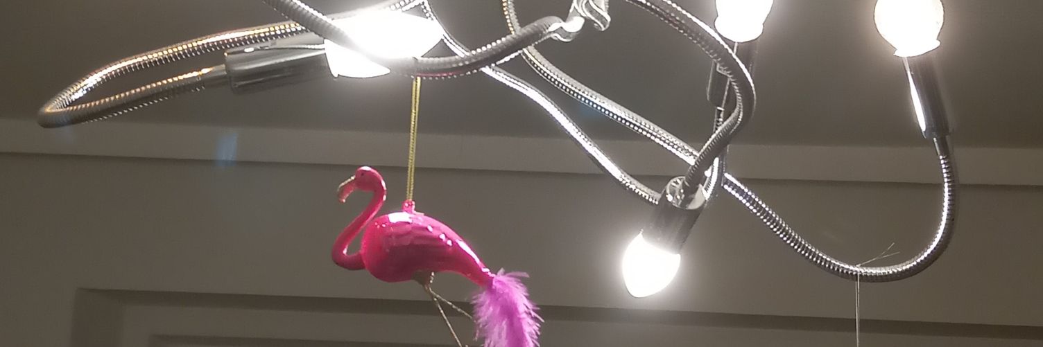 PengDingDong's profile banner image