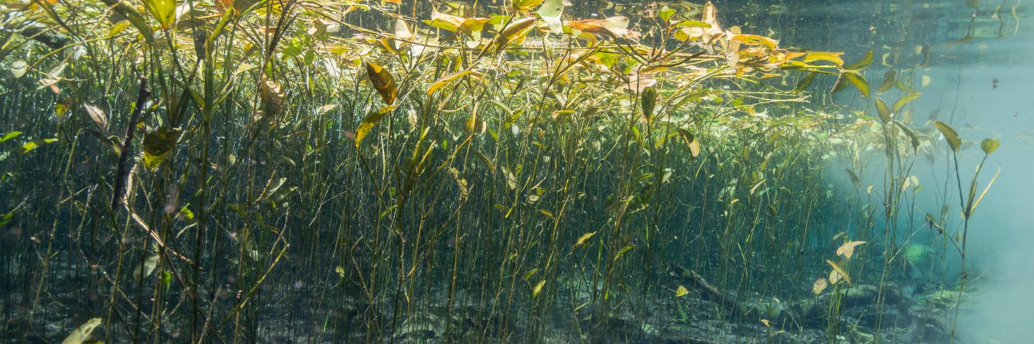 Balázs Lukács banner