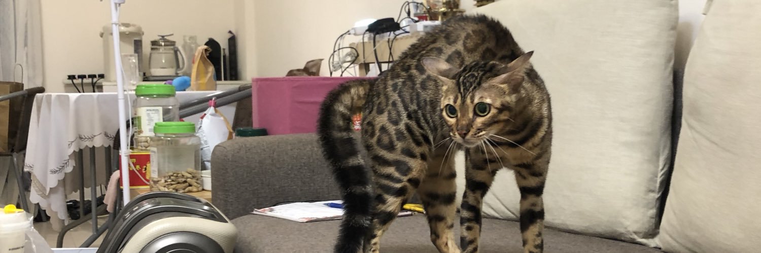 CarmeowLaw's profile banner image