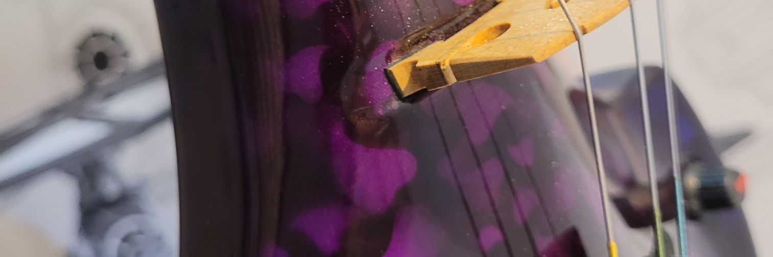 Sarah Nicolle (she/her) 💙🌈🎵 banner