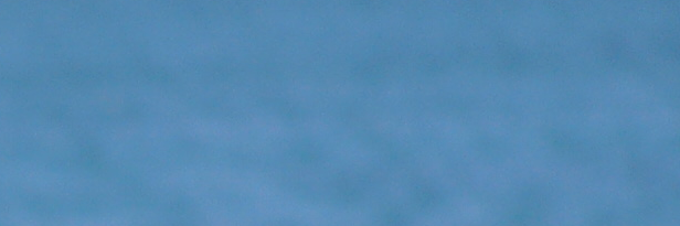 edoardoc's profile banner image