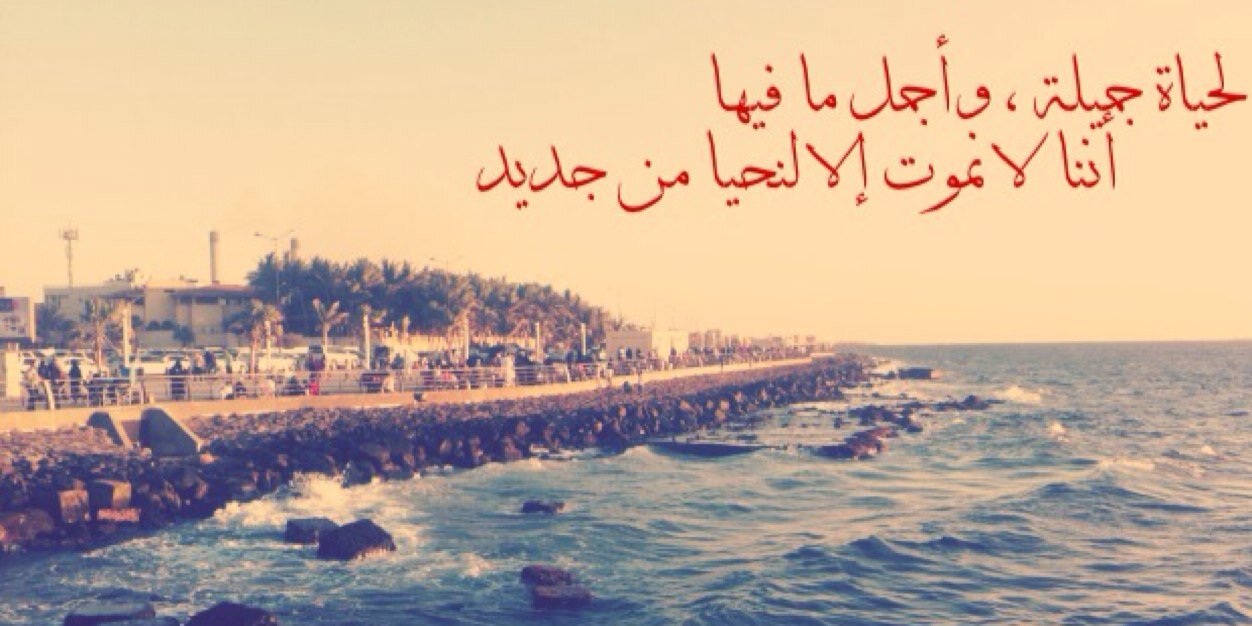 aloly442's profile banner image
