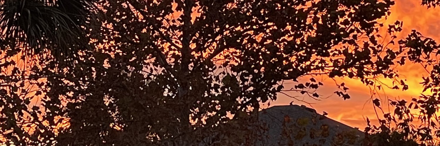 Elena Alexeeva banner