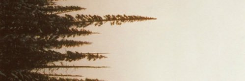anacorbe's profile banner image