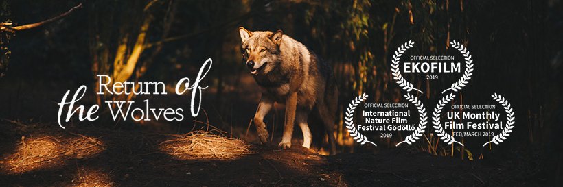 ROTWFilm's profile banner image