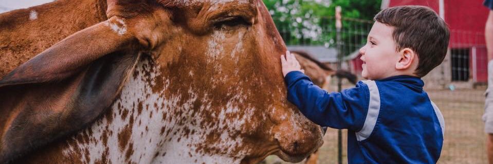 SASHA Farm Animal Sanctuary banner