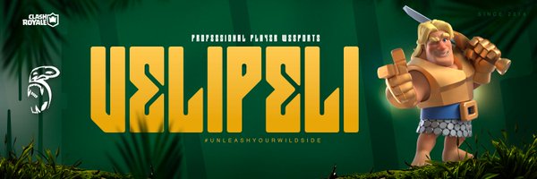 Niklas_cr Profile Banner