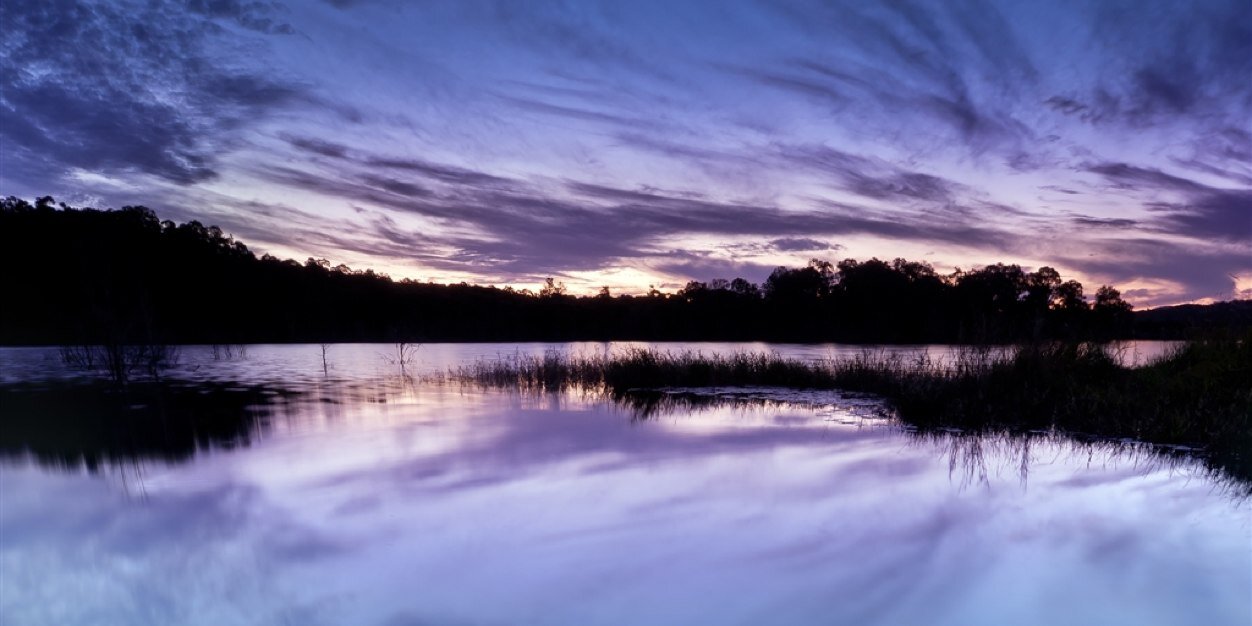 amy_perone's profile banner image