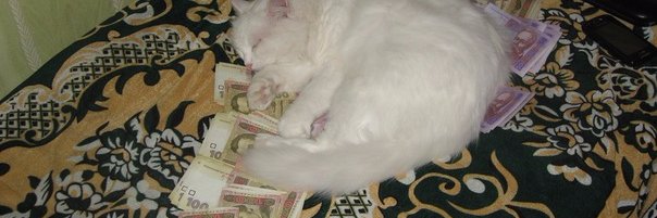 Зицер Семен banner