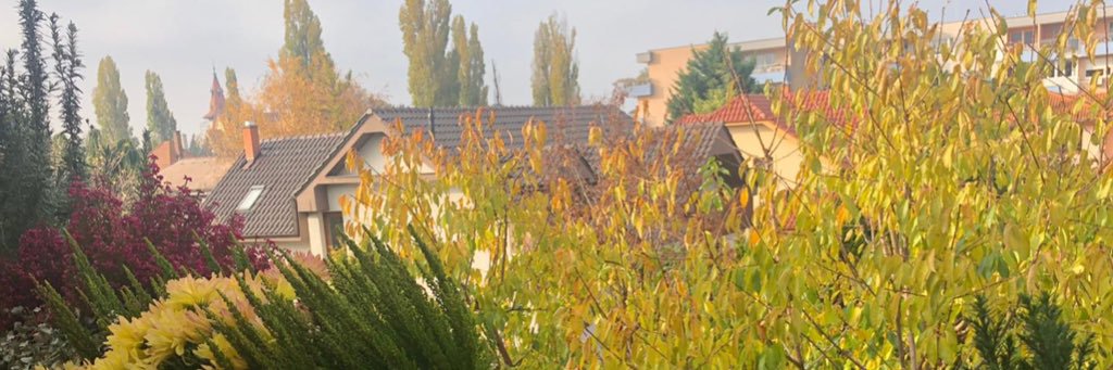 srn_kate's profile banner image