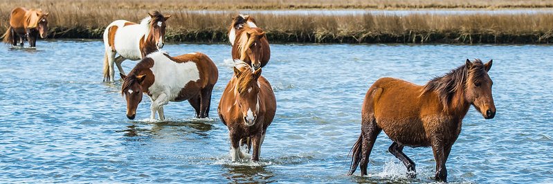 Maryland State Parks banner