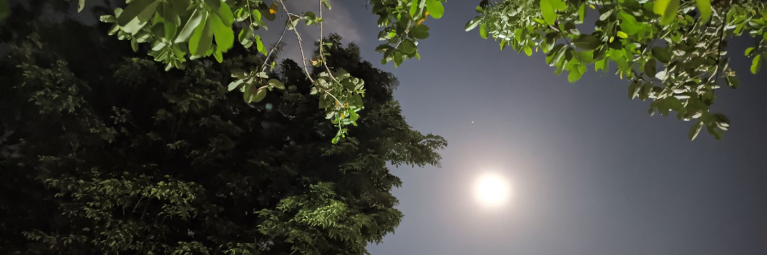 romiyulyanto's profile banner image