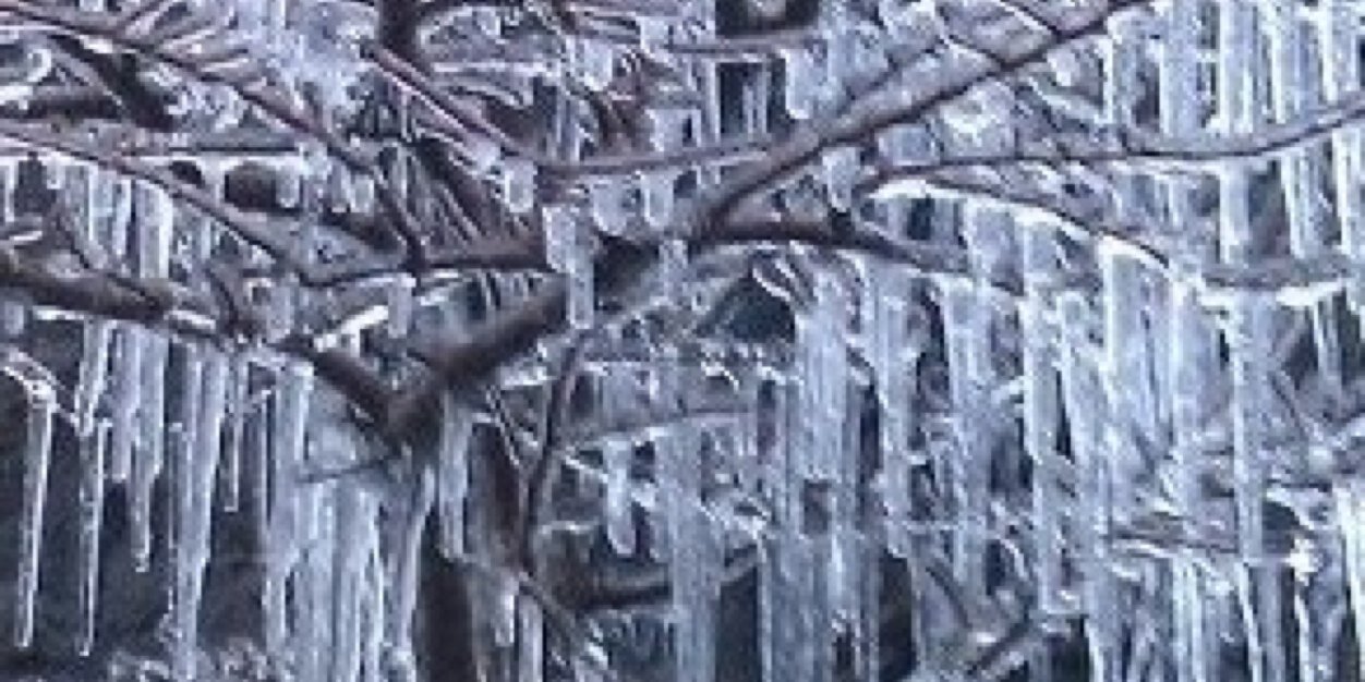 Marlene Sharpe banner