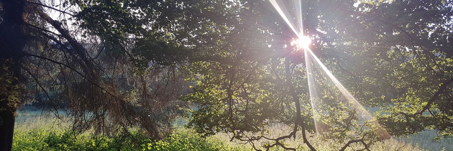 Clarey_J's profile banner image