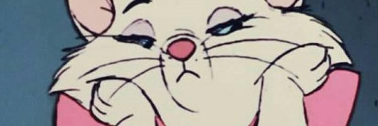 manaryaassin's profile banner image