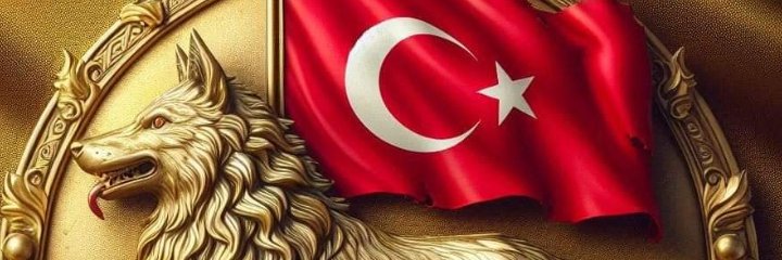 bicer_m_'s profile banner image