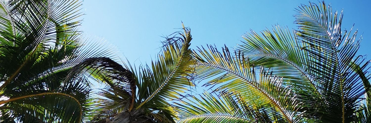 Hamtasaur's profile banner image