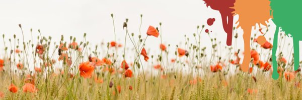 prooisterwijk Profile Banner