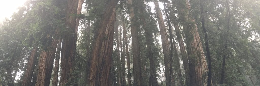 JustinJaime8's profile banner image