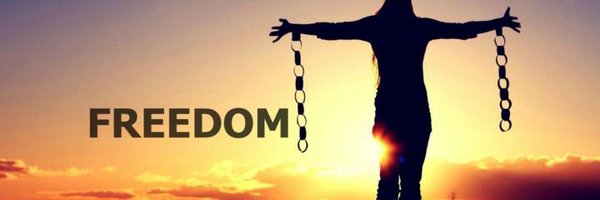 squawkying Profile Banner