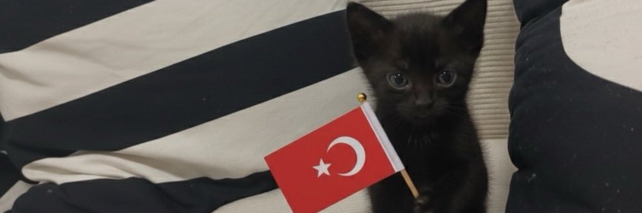 deryaovic's profile banner image