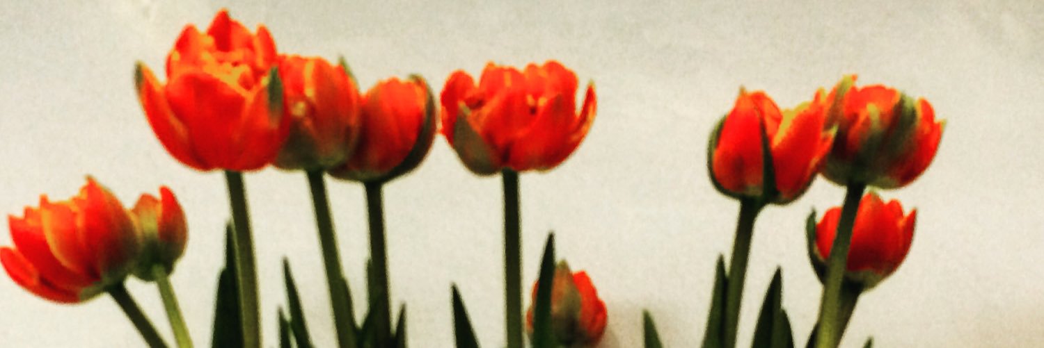 laecs_'s profile banner image