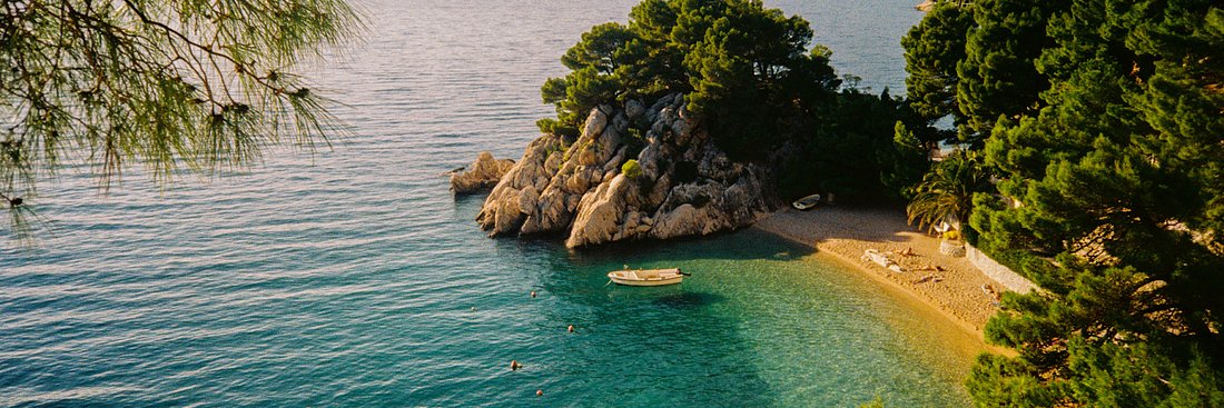 Dr. Theophano Mitsa ☦️🇬🇷🇺🇸 banner