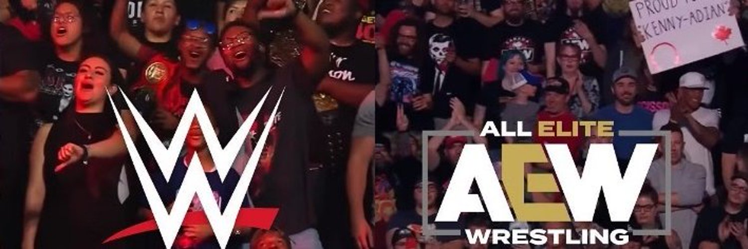 Pro Wrestling Army Profile Banner