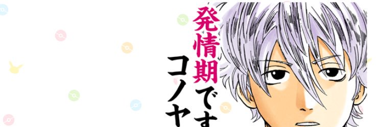 ruinyanco's profile banner image