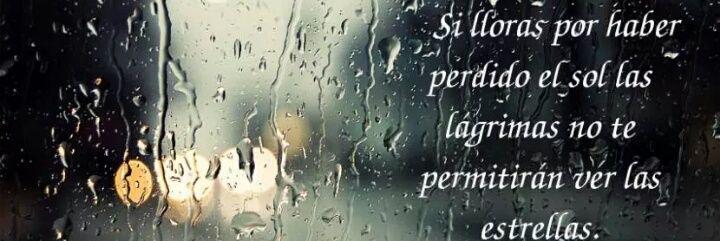 lorca_laura's profile banner image