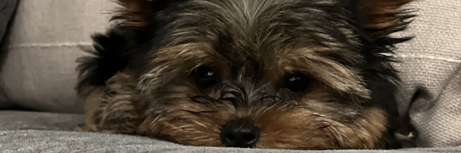 heyitsleelo's profile banner image