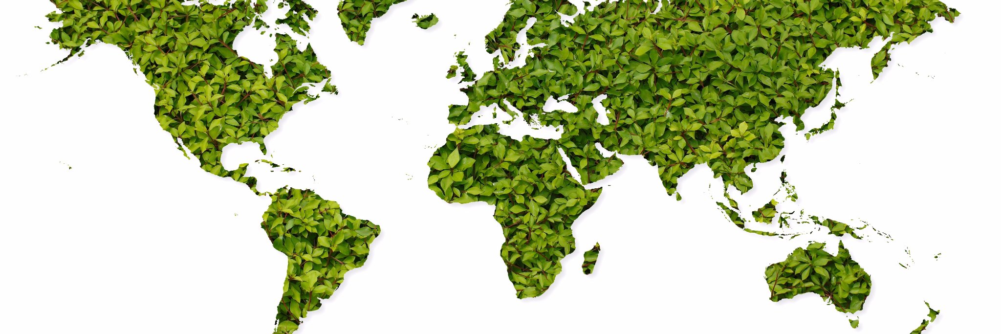 DisperAgro's profile banner image