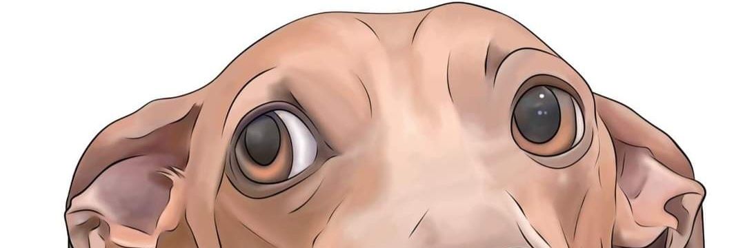 Graham_1510's profile banner image