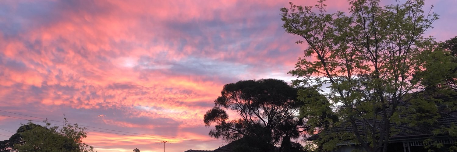 PragmaticLibertarian banner