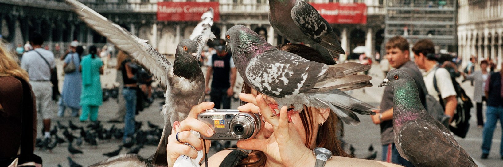 VIRTUE Worldwide banner