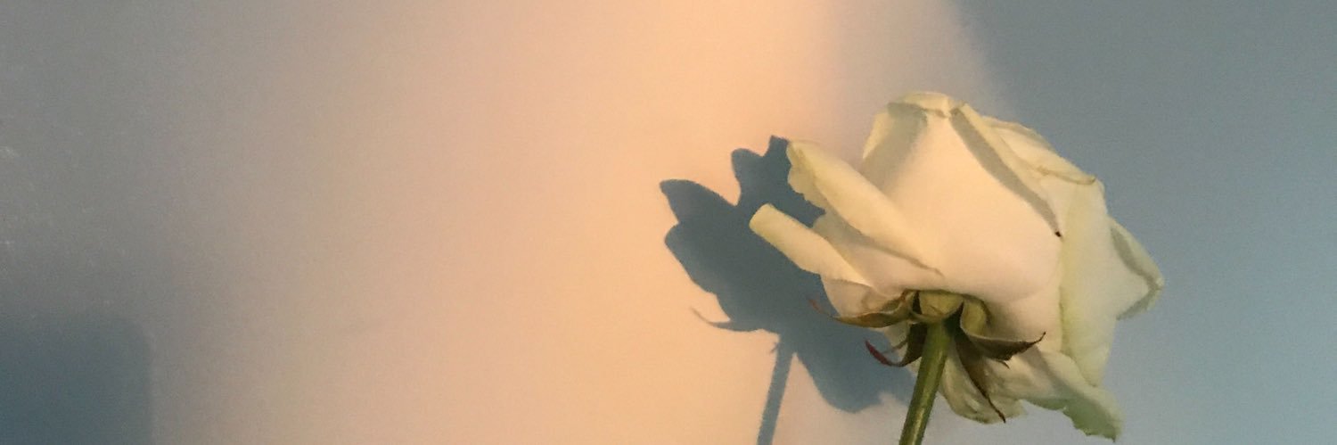 CloeMillar's profile banner image