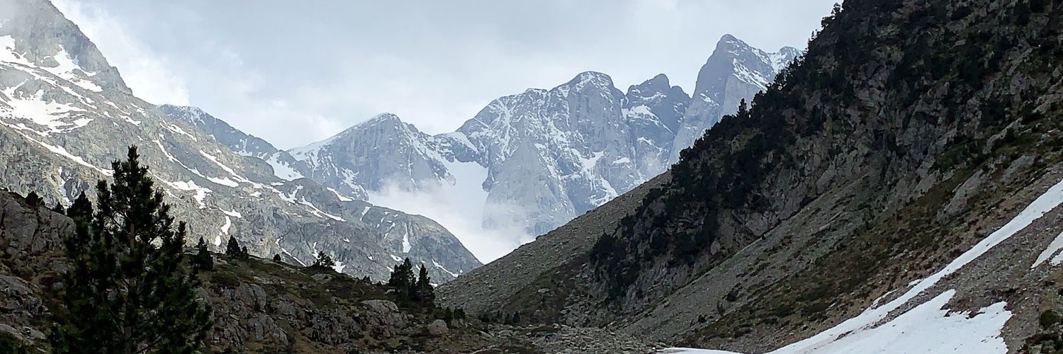 Matthieu Roulleaux Dugage banner