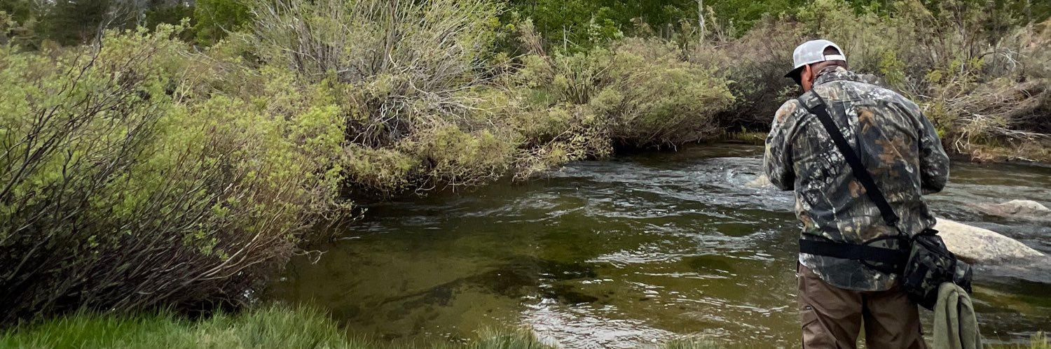 David Ynzunza banner