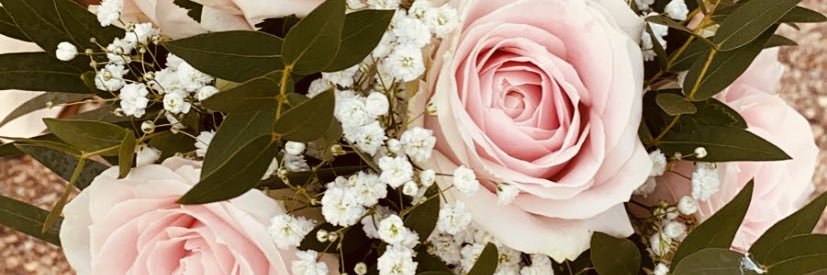 MarieTataane's profile banner image