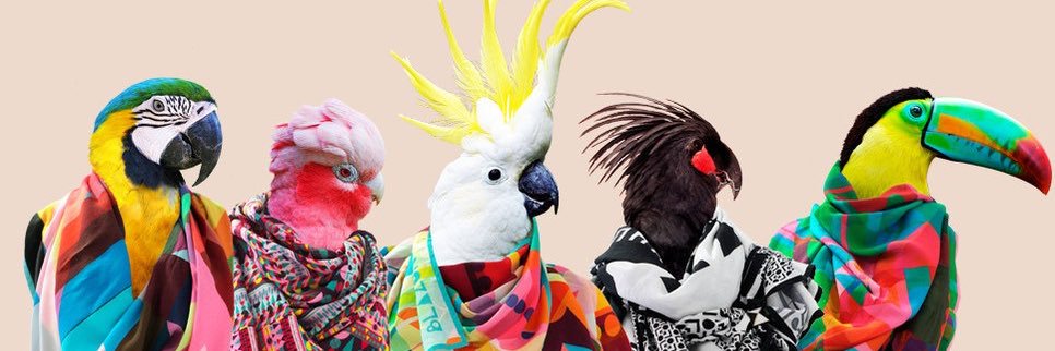 biondario's profile banner image
